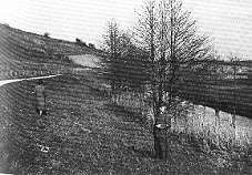 Die Trift aus Richtung Stadt,1937, mit Tischlermeister Otto und Martha Gutt